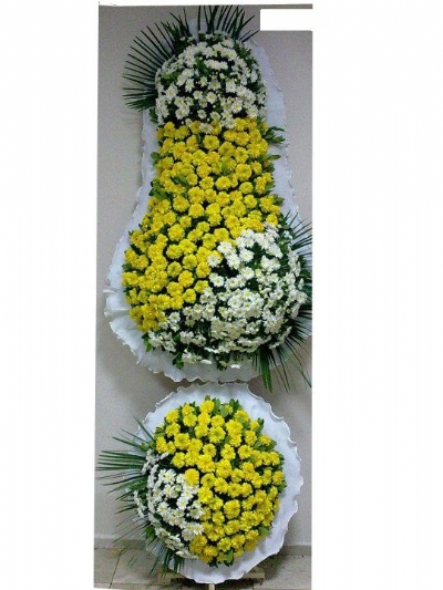 ikili çelenk modeli